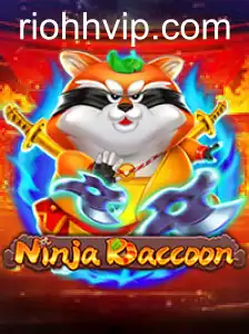 NinjaRaccoon: Um Mergulho no Mundo dos Guaxinins Ninjas